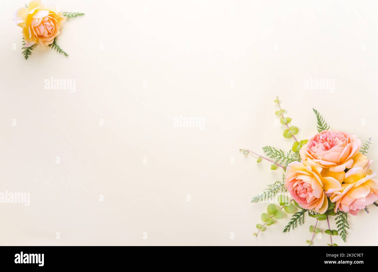 Autumn creative composition orange roses flowers on cream background. Fall, autumn background. Flat lay, top view, copy space Stock Photo