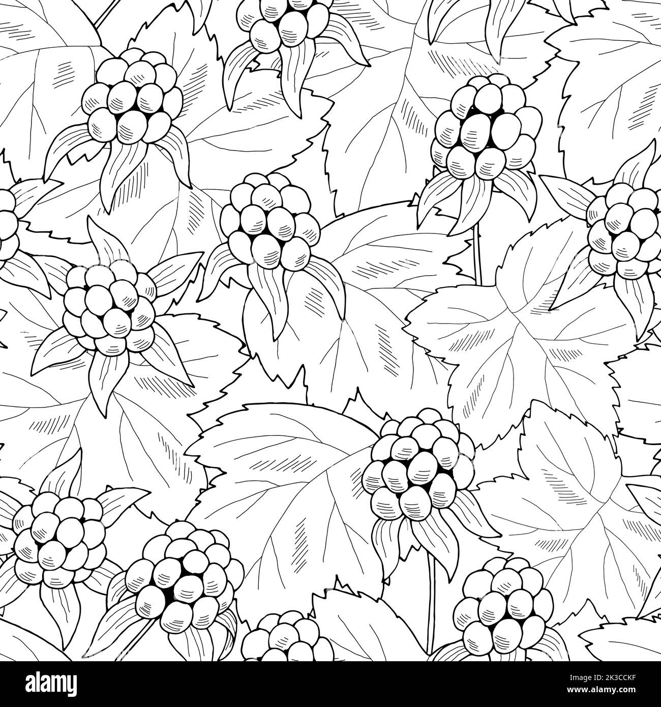 Cloudberry berry seamless pattern background graphic black white sketch illustration vector Stock Vector