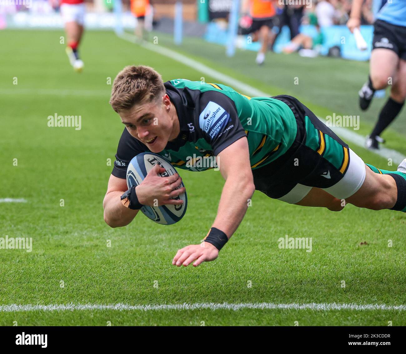 24.09.2022   Northampton, England. Rugby Union.                   Tommy Freeman scores for Saints in the 15th minute of the Gallagher round 3 match pl Stock Photo
