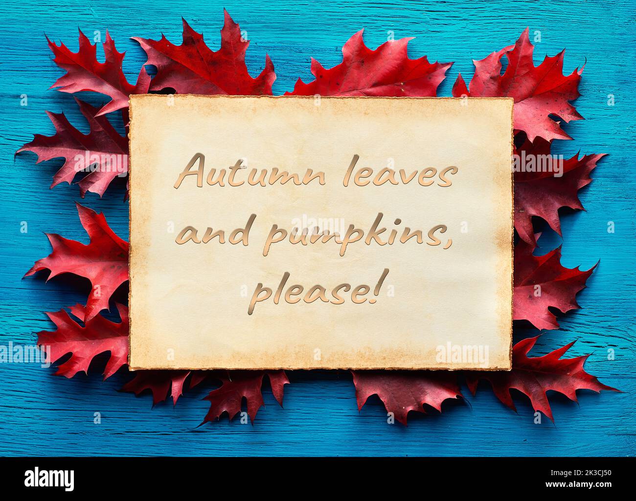 Text Autumn leaves and pumpkins, please, on parchment. Frame from red oak leaves on turquoise cracked board. Natural Fall background. Stock Photo