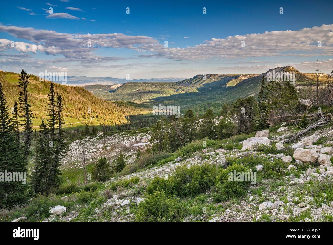 Black Mountain, Hightop on right, over Twelvemile Canyon, view from Skyline Drive (FR 022), Wasatch Plateau, Manti La Sal National Forest, Utah, USA Stock Photo