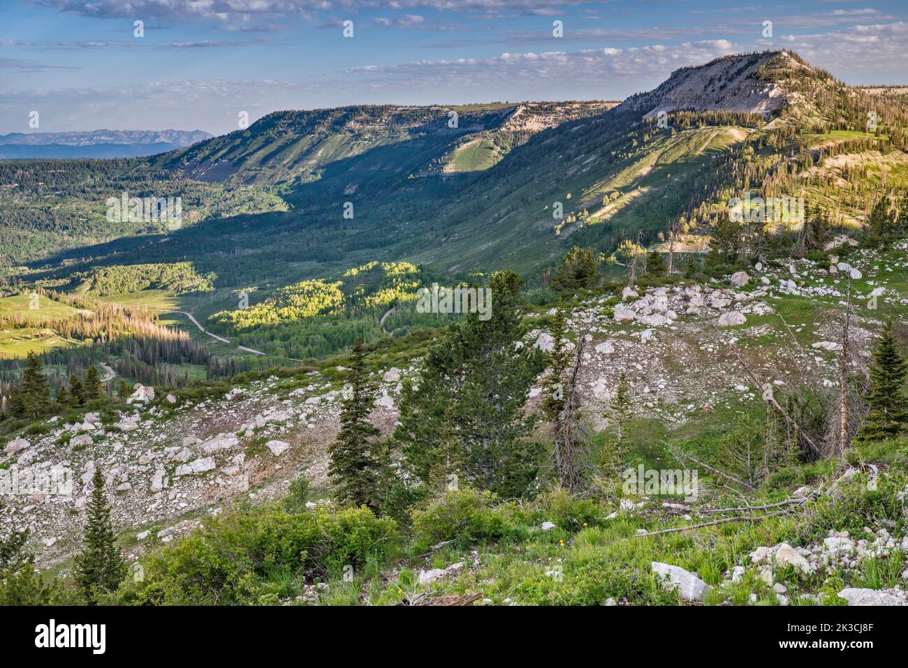 Black Mountain, Hightop on right, over Twelvemile Canyon, view from Skyline Drive (FR 022), Wasatch Plateau, Manti La Sal National Forest, Utah, USA Stock Photo