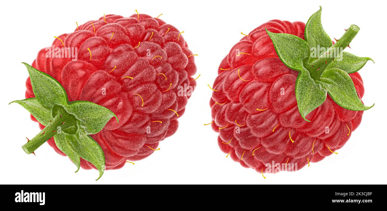 Raspberry isolated on white background Stock Photo