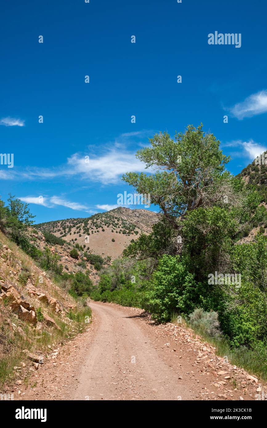 Entering Kanosh Canyon, Mud Spring Hollow Road, FR 106, County Rd 17, Pahvant Range, Fishlake National Forest, near Kanosh, Utah, USA Stock Photo