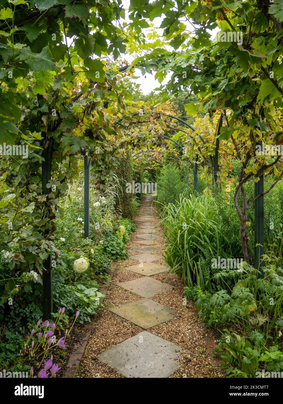 September Path Portrait view of the paved shingle path through the arches walk at ...