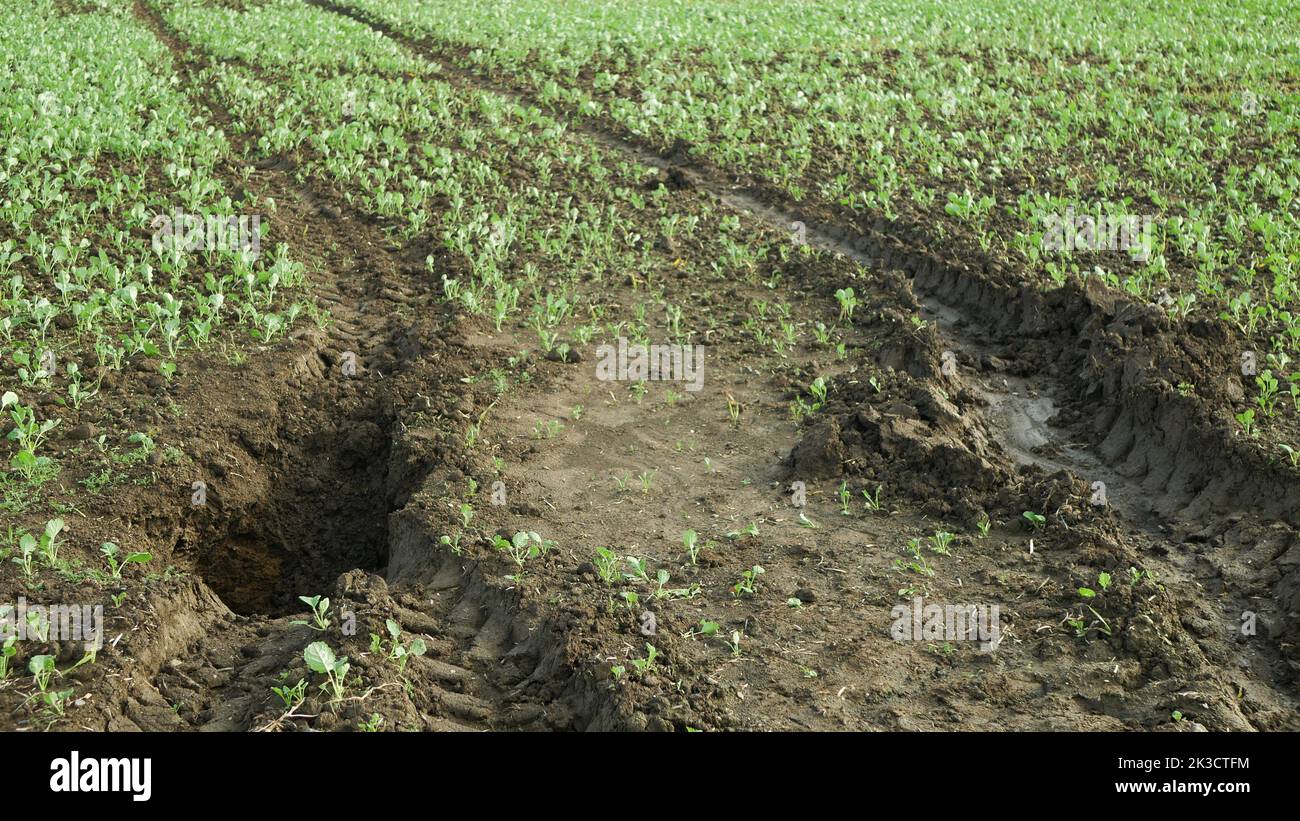 Fields erosion damage soil hole pit inappropriately managed soil earth land with degradation