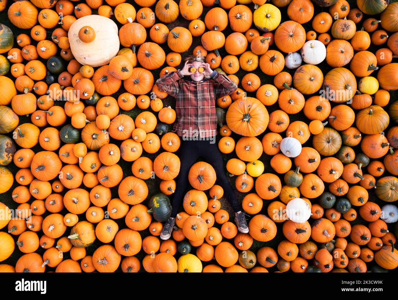 Sandra Mlynarova with some of the 100,000 pumkins that have been harvested ahead of the Spilmans Pumpkin Festival, that opens this Saturday at Tom Spilmans' Pumpkin Farm in Thirsk. Picture date: Monday September 26, 2022. Planted in May, the farm has grown 20 varieties of pumpkins over 25 acres of land, for the pumpkin picking season ahead of Halloween. Stock Photo