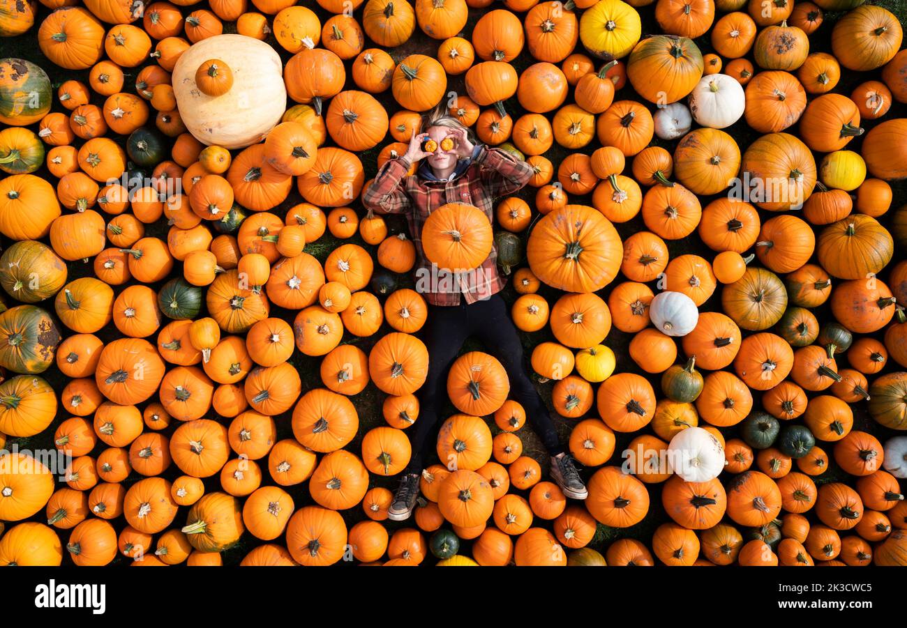 Sandra Mlynarova with some of the 100,000 pumkins that have been harvested ahead of the Spilmans Pumpkin Festival, that opens this Saturday at Tom Spilmans' Pumpkin Farm in Thirsk. Picture date: Monday September 26, 2022. Planted in May, the farm has grown 20 varieties of pumpkins over 25 acres of land, for the pumpkin picking season ahead of Halloween. Stock Photo