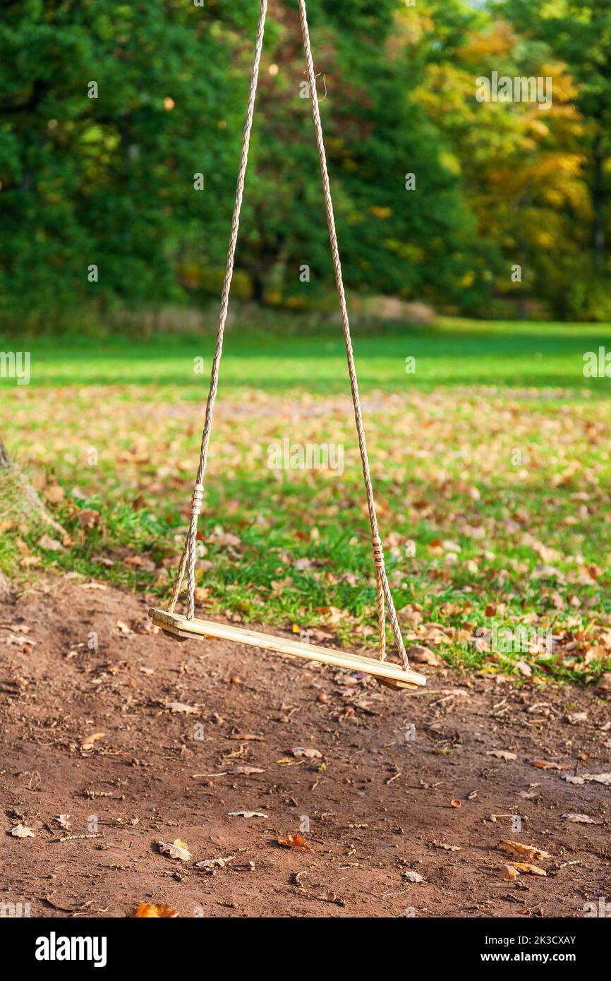 Rope swing in a park Stock Photo Alamy