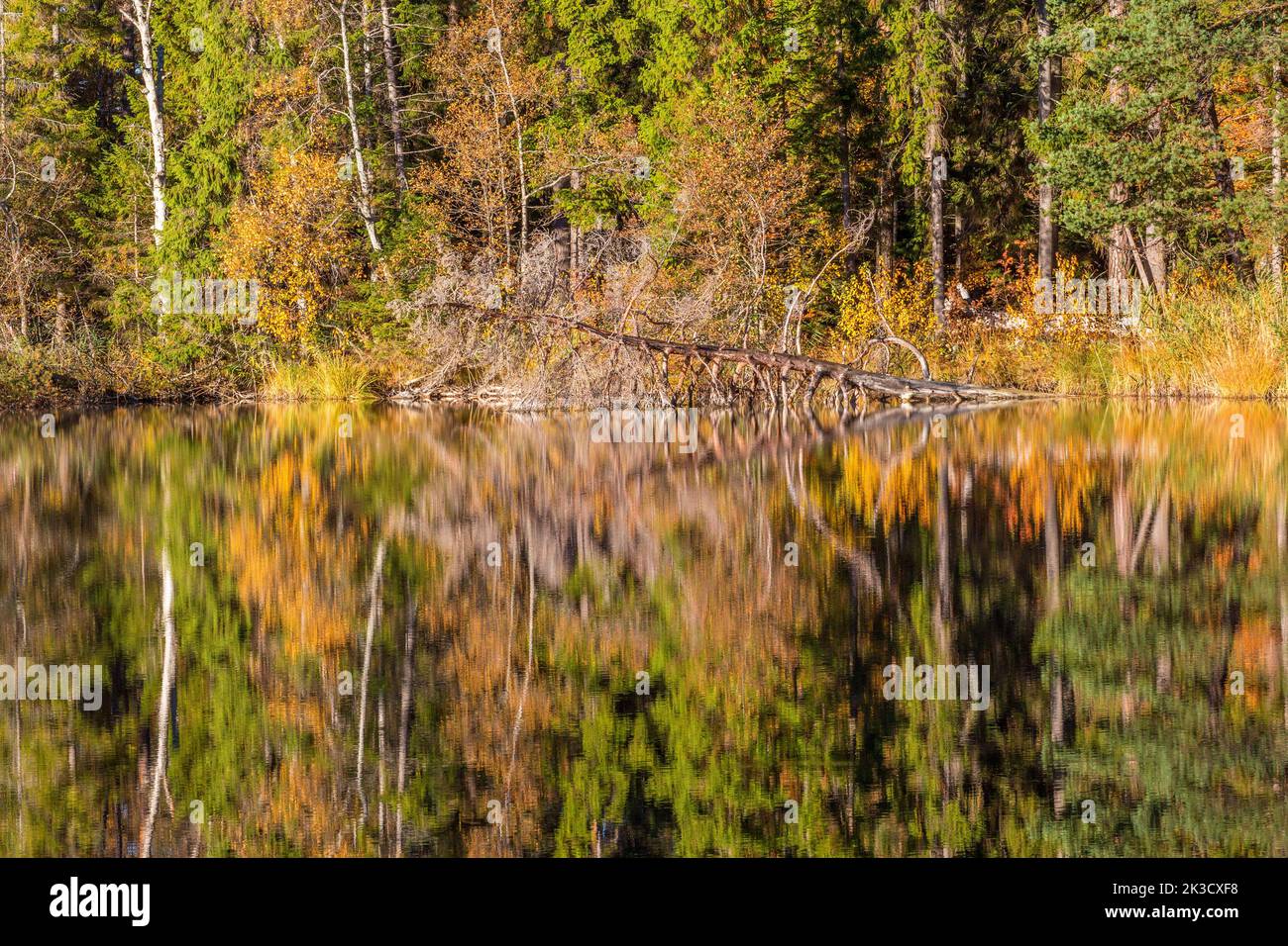 Calm reflecting lake fallen hi-res stock photography and images - Alamy