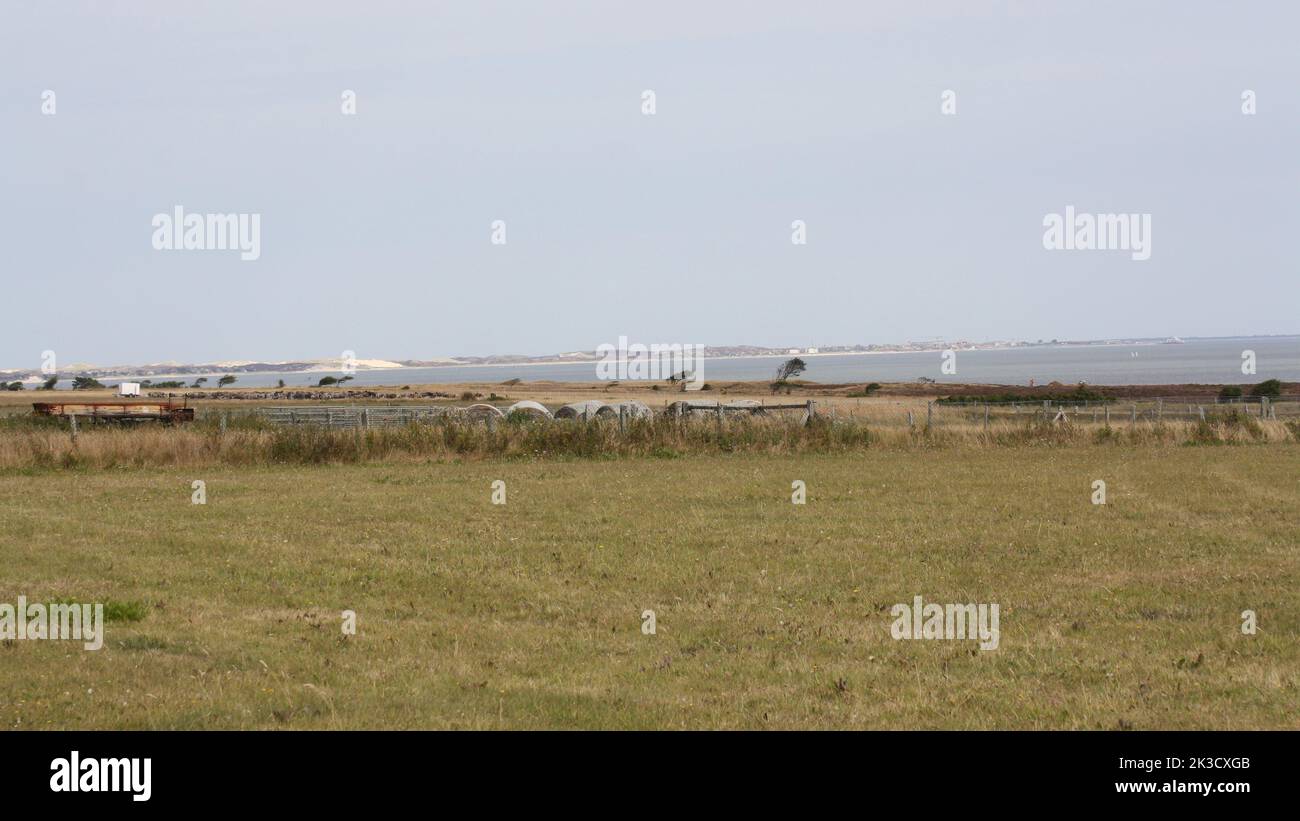 View over the Braderup Heath from Sylt to the Wadden Sea Stock Photo