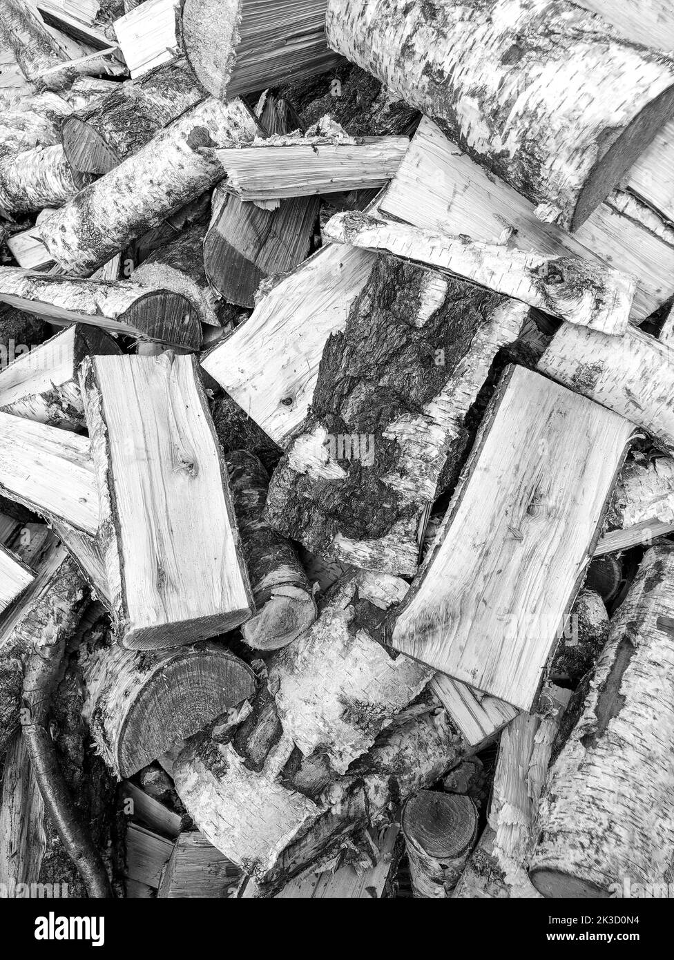 birch black and white wallpaper, vertical Stock Photo Alamy