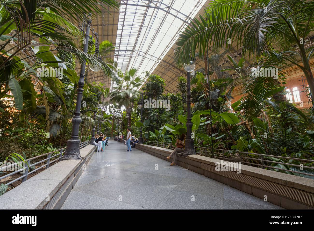 Madrid, Spain, September 2022. The indoor tropical garden in the Atocha railway station in the city center Stock Photo