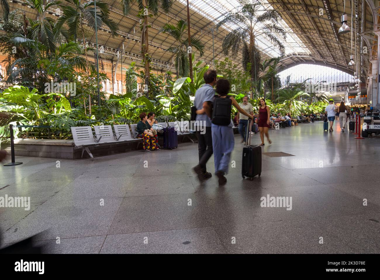 Madrid, Spain, September 2022. The indoor tropical garden in the Atocha railway station in the city center Stock Photo
