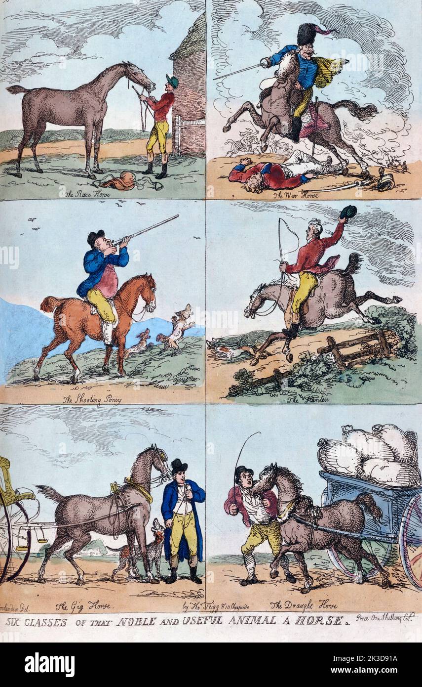 Six classes of that noble and useful animal a horse.  After an early 19th century work by British artist Thomas Rowlandson.  The work shows six uses for a horse: for racing, as a war horse, as a shooting pony, as a huntsman's animal, as a coach horse and as a draught horse. Stock Photo