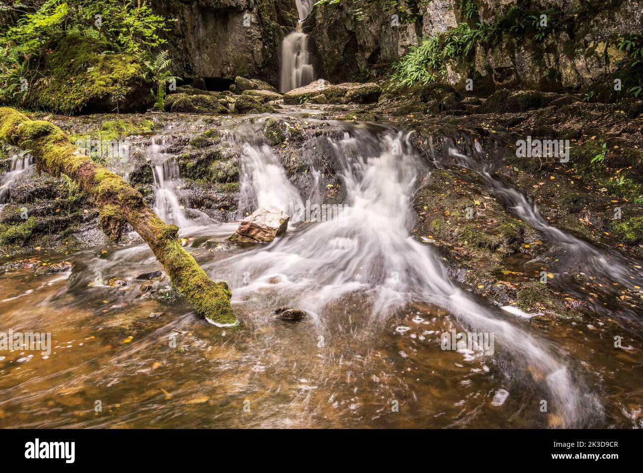 Catrigg Force,a Yorkshire Dales waterfall in a woody copse near Stainforth in North Yorkshire, UK. Stock Photo
