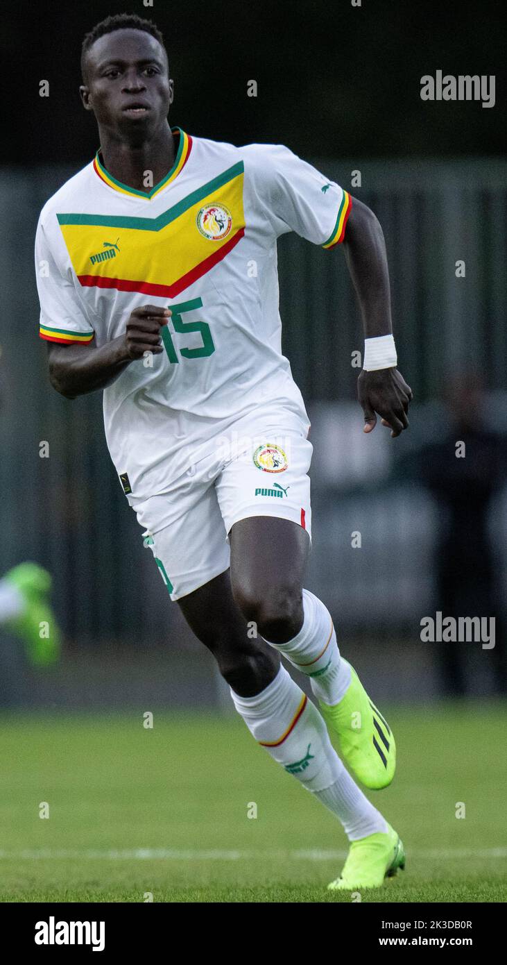 Krepin ORLEANS, FRANCE - SEPTEMBER 24: Krepin Diatta of Senegal during the ...