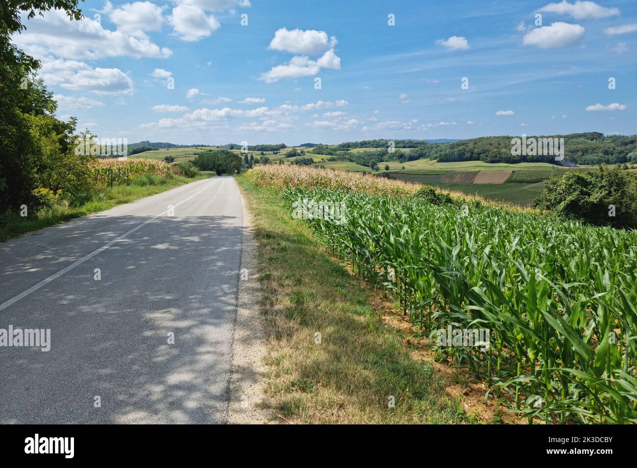 Road through scenic agricultural landscape view, Zaistovec village in northern Croatia Stock Photo