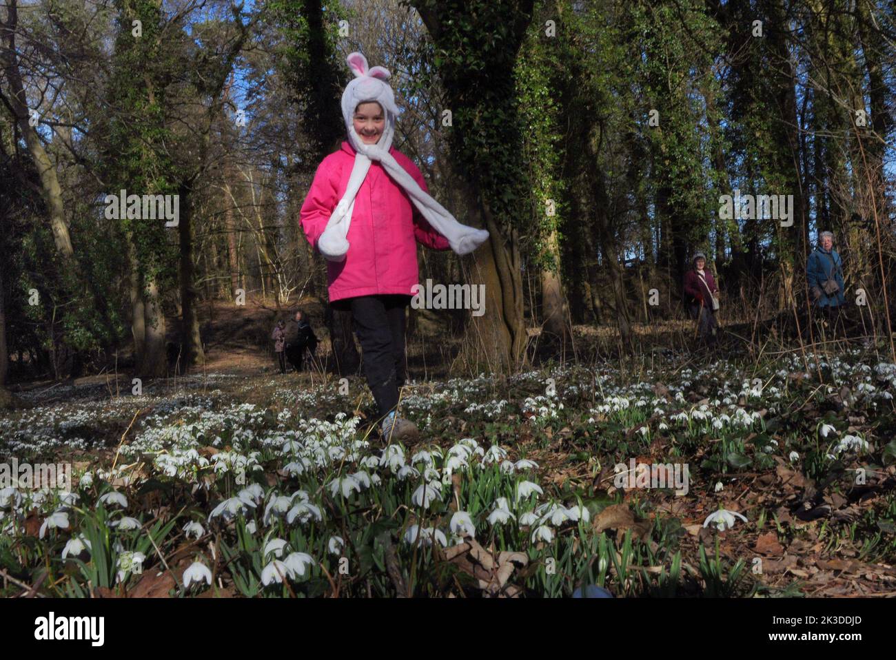 5 year old Tilly Clark enjoys the snowdrops at  the National Trust's Mottisfont Abbey near Romsey Hants. Pic Mike Walker,2015 Mike Walker Pictures Stock Photo