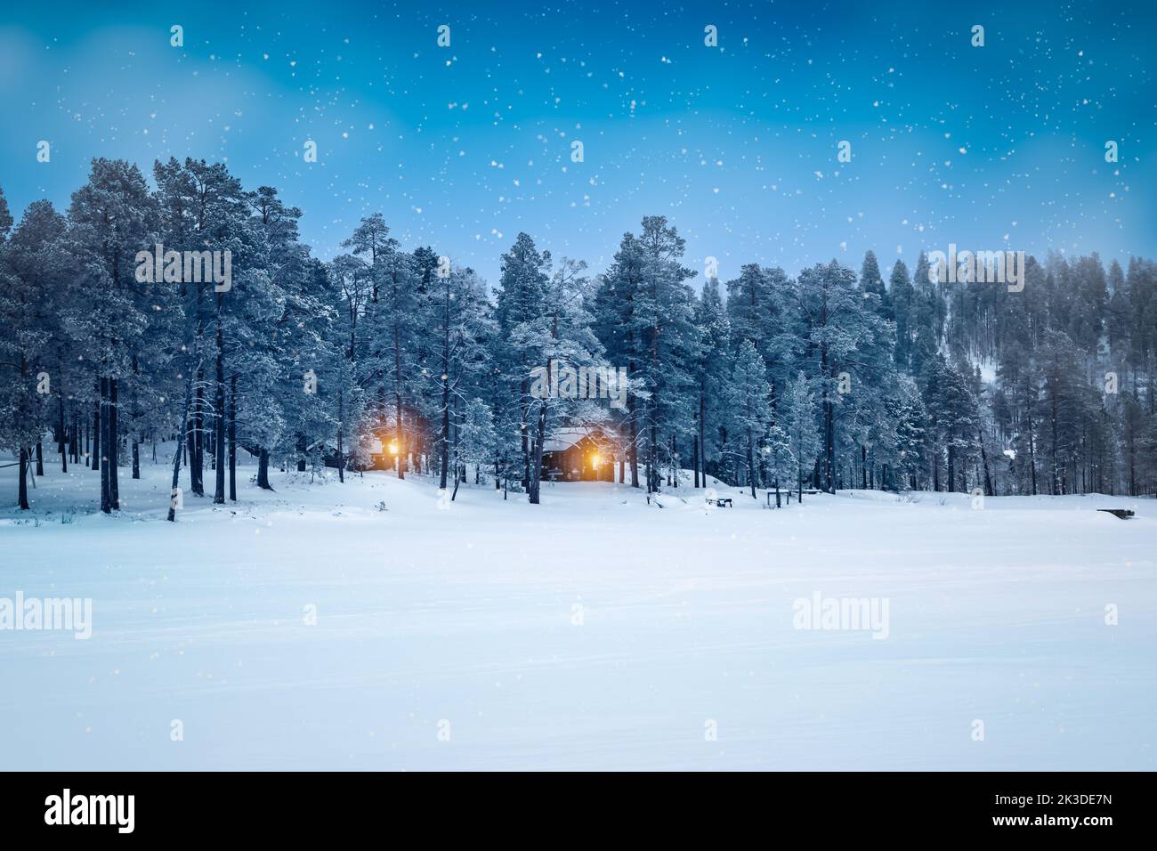 Winter forest snow landscape in the night. Lapland, Finland. Stock Photo