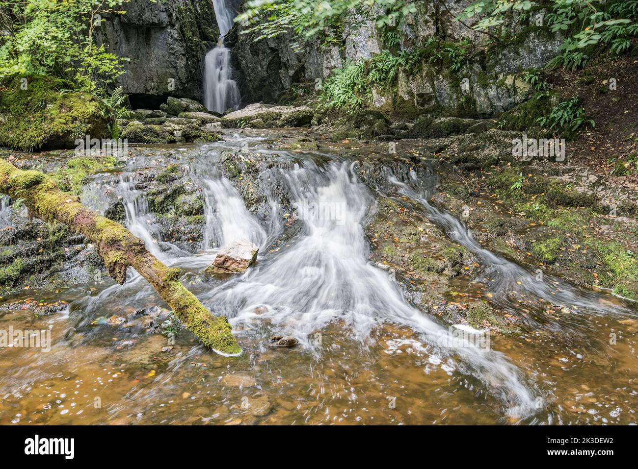 Catrigg Force,a Yorkshire Dales waterfall in a woody copse near Stainforth in North Yorkshire, UK. Stock Photo