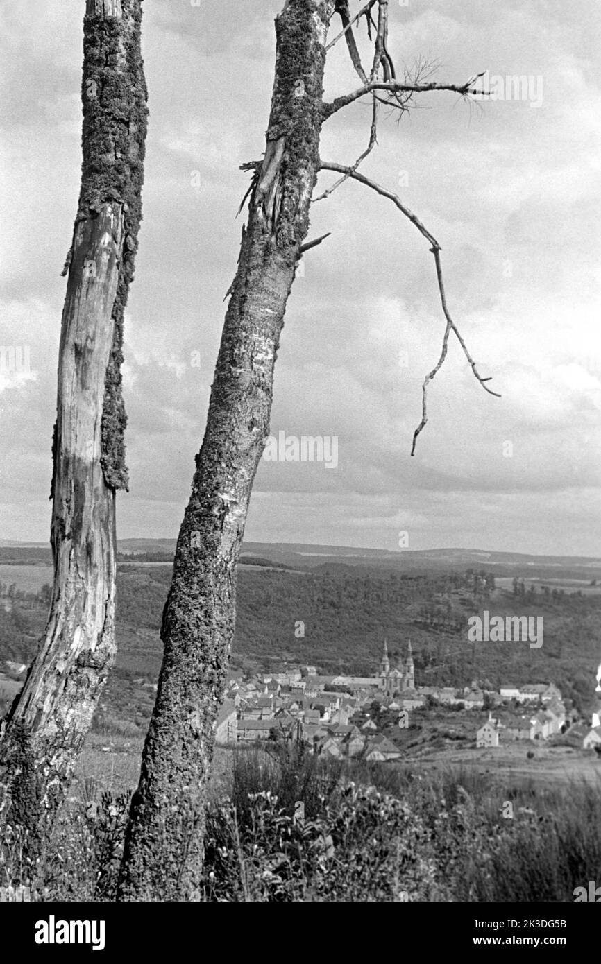 Blick auf Prüm in der Eifel mit alten Birken, circa 1952. View of Prüm with old birch trees, Eifel region, around 1952. Stock Photo