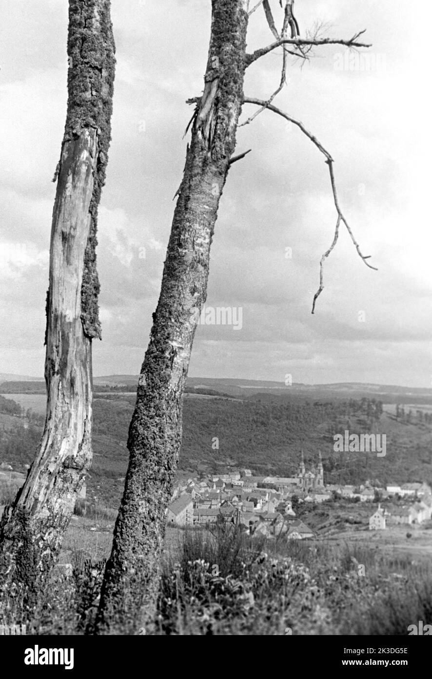 Blick auf Prüm in der Eifel mit alten Birken, circa 1952. View of Prüm with old birch trees, Eifel region, around 1952. Stock Photo