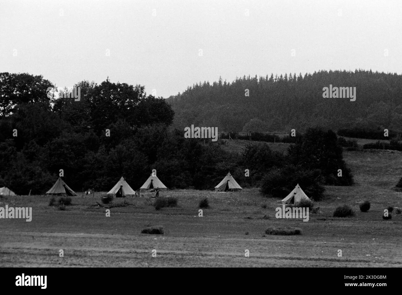 Campingplatz am Freilinger See bei Blankenheim in der Eifel, 1952. Camping  site on Lake Freiling near Blankenheim, Eifel region, 1952 Stock Photo -  Alamy
