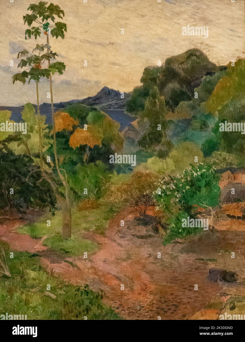 Martinique Landscape by Paul Gauguin in National Gallery of Scotland Stock Photo