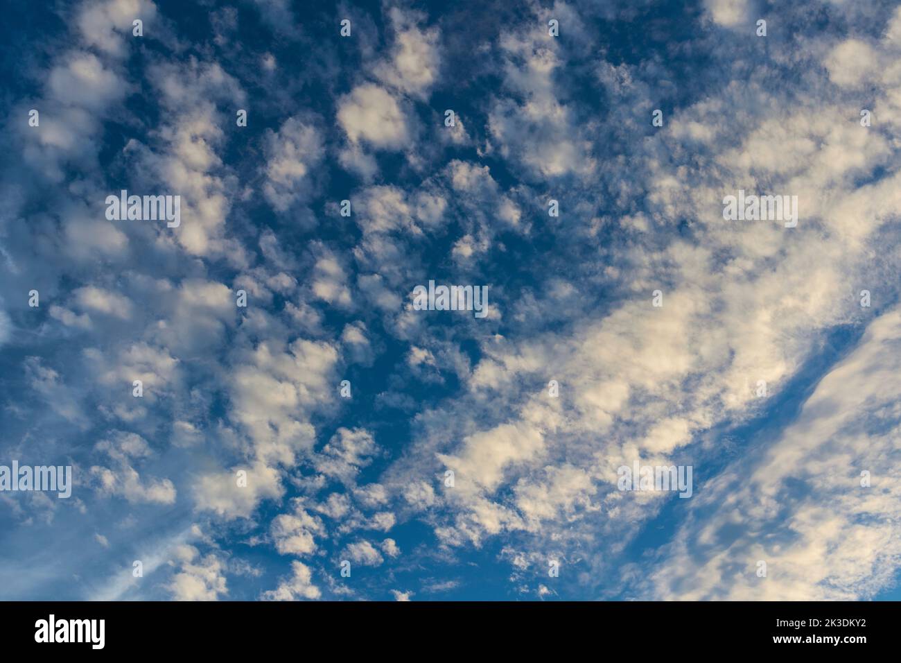 August Evening Sky Filled with Cirrocumulus Cloudlets and Blue Sky Stock Photo
