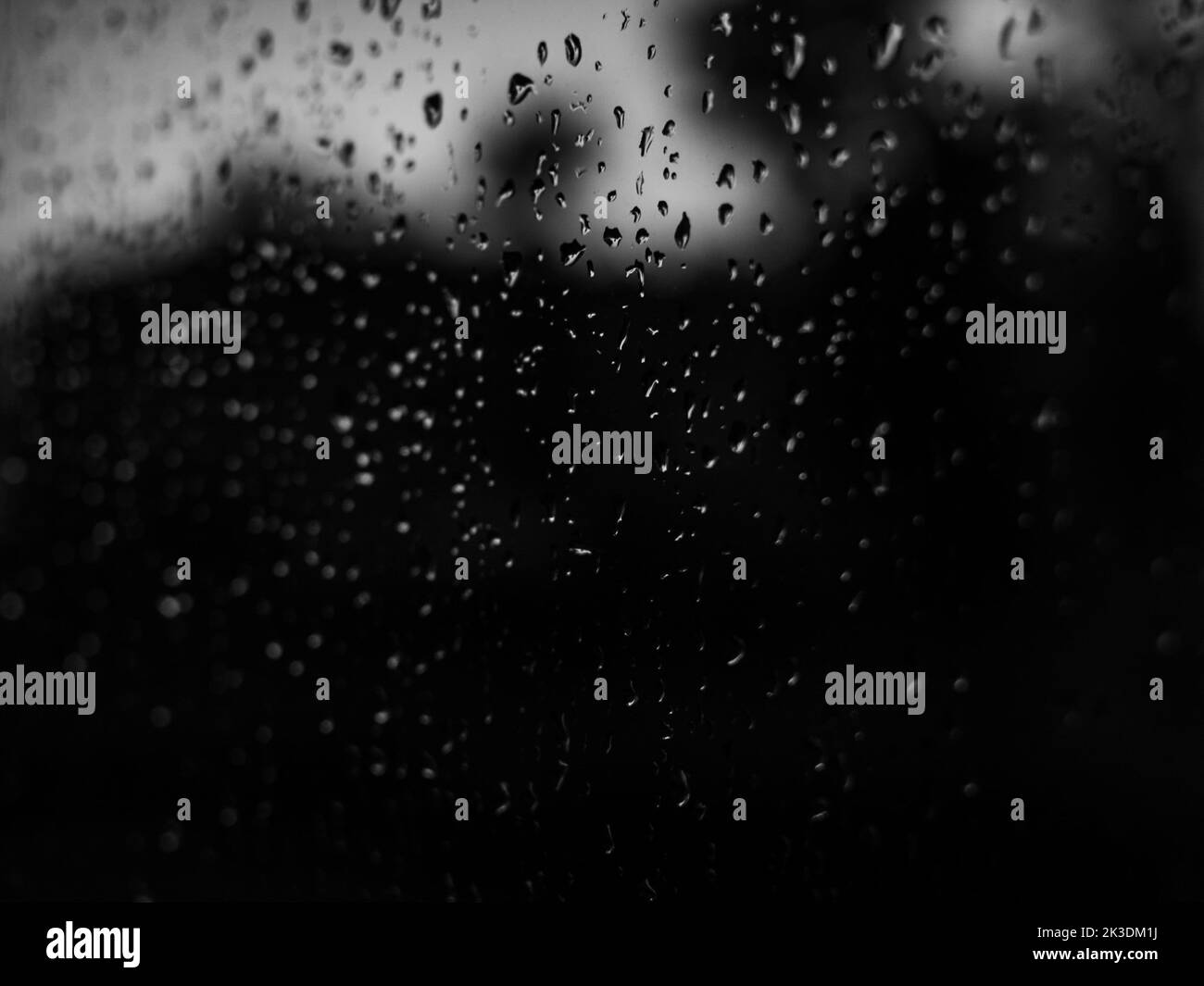 Rain heavy rain at a park rain in the forest rain in the woods heavy