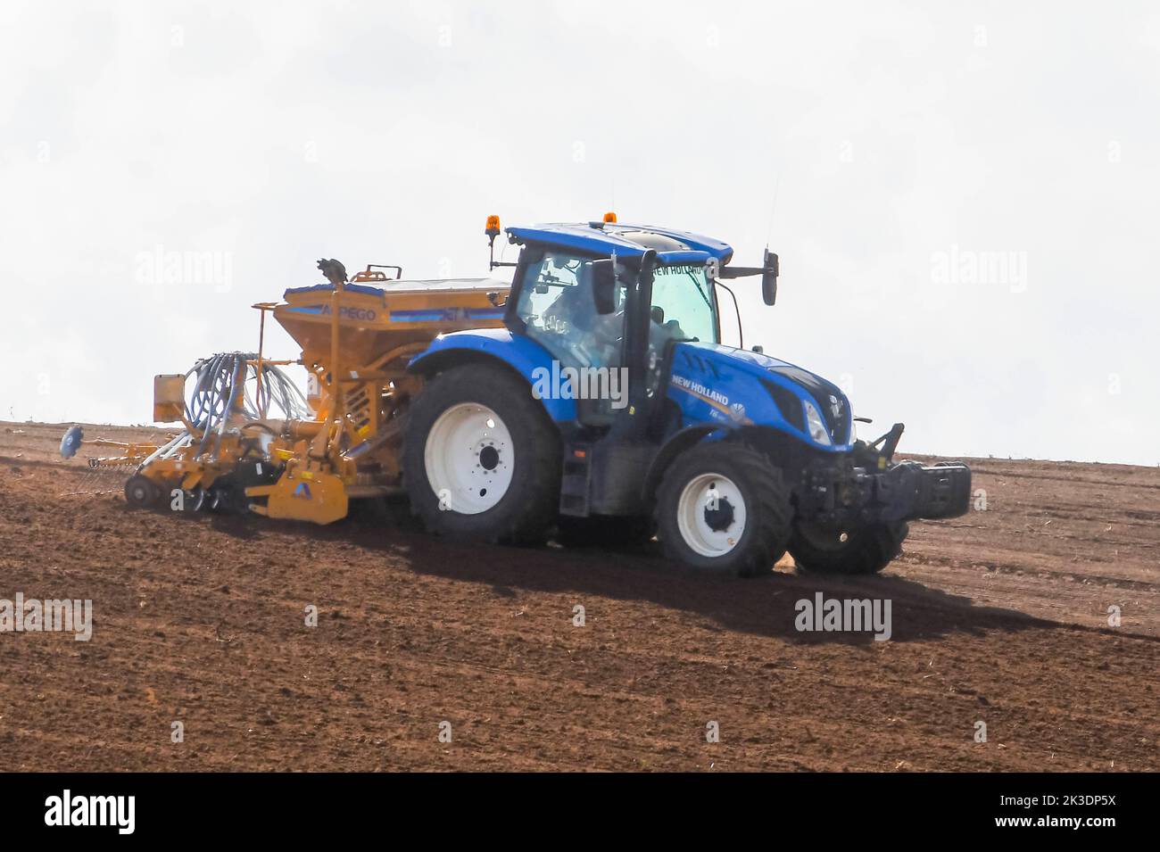 Portesham, Dorset, UK.  26th September 2022.  UK Weather.    A farmer with a tractor seeding a field near Portisham in Dorset on a warm sunny autumn day.  Picture Credit: Graham Hunt/Alamy Live News Stock Photo