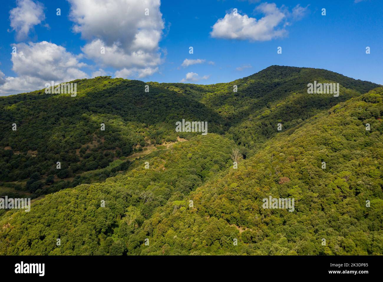 Aerial view of the Montnegre mountain and forests, in the Hortsavinyà area (Maresme, Barcelona, Catalonia, Spain)  ESP: Vista aérea del Montnegre Stock Photo