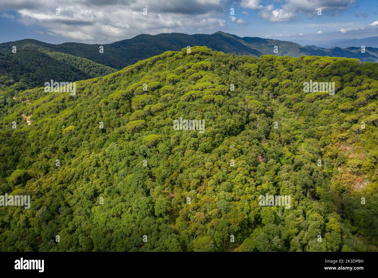 Aerial view of the Montnegre mountain and forests, in the Hortsavinyà area (Maresme, Barcelona, Catalonia, Spain)  ESP: Vista aérea del Montnegre Stock Photo