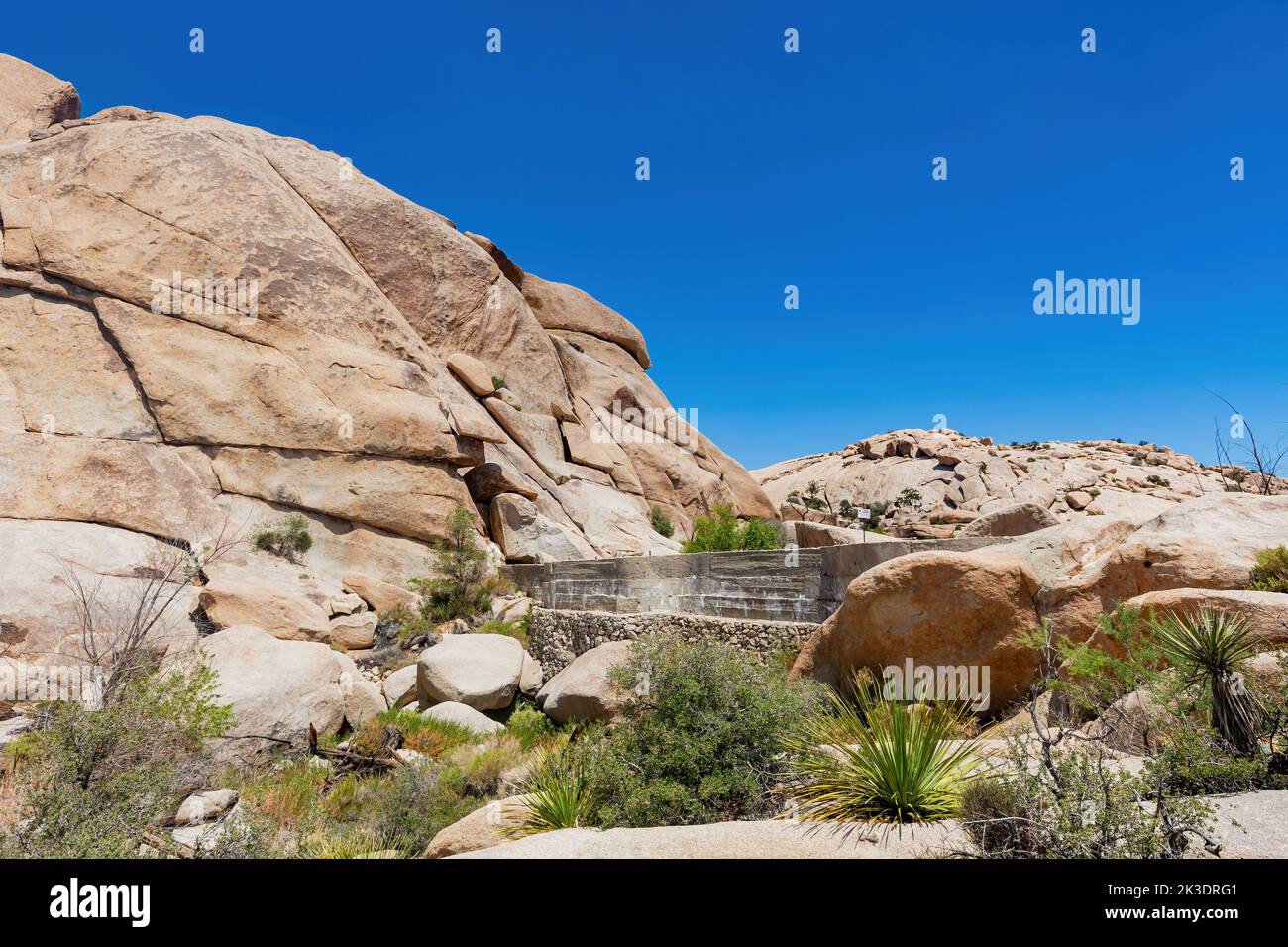 Landscape In Joshua Tree National Park At California, Usa Stock Photo 