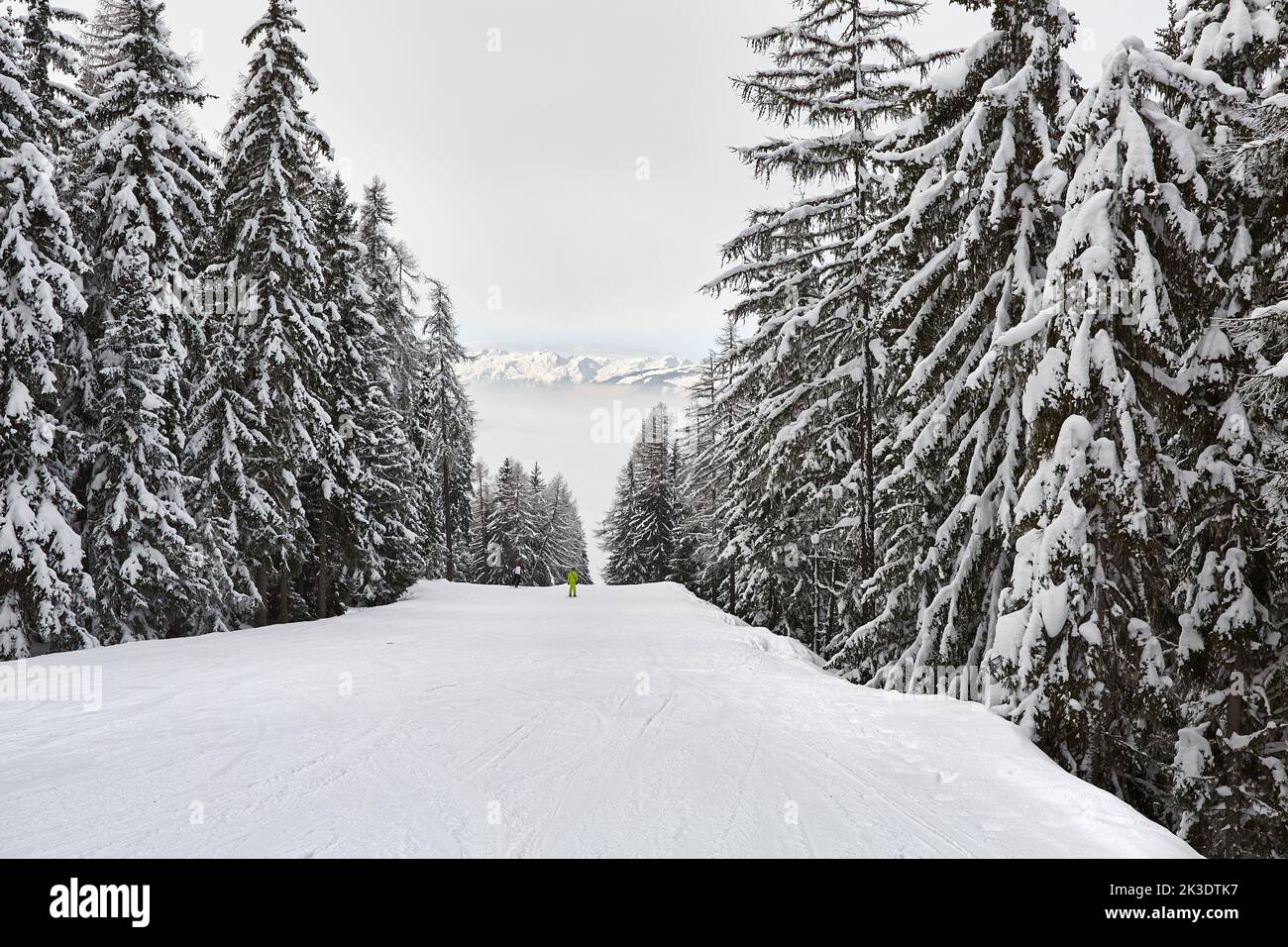 Deep snowy forest road hi-res stock photography and images - Alamy