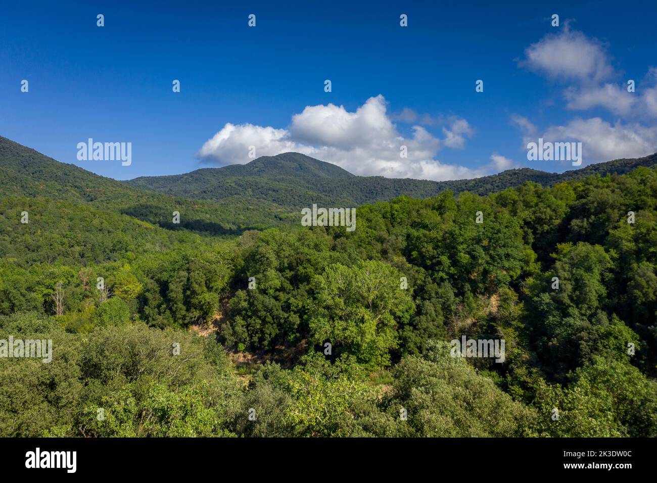 Aerial view of the Olzinelles valley in the Montnegre-Corredor natural park (Vallès Oriental, Barcelona, Catalonia, Spain) Stock Photo