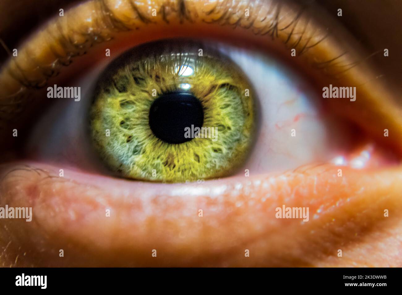 My eye. Quarantine. Stock Photo