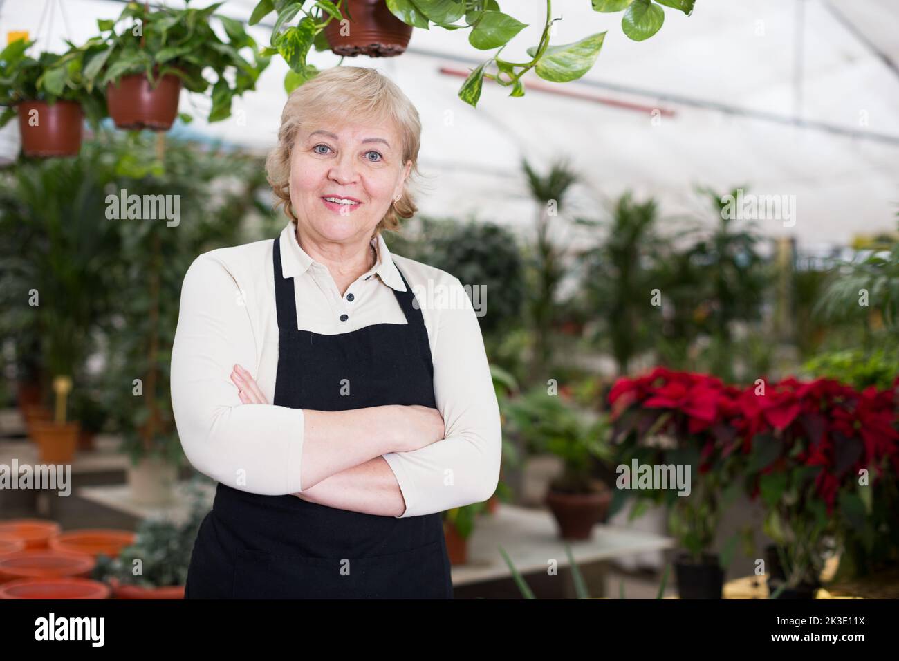 Portrait of female gardener who is working together Stock Photo - Alamy