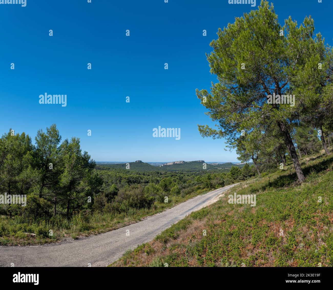 A quiet rural road in the Alpilles close to Saint-Rémy-de-Provence, France. Stock Photo