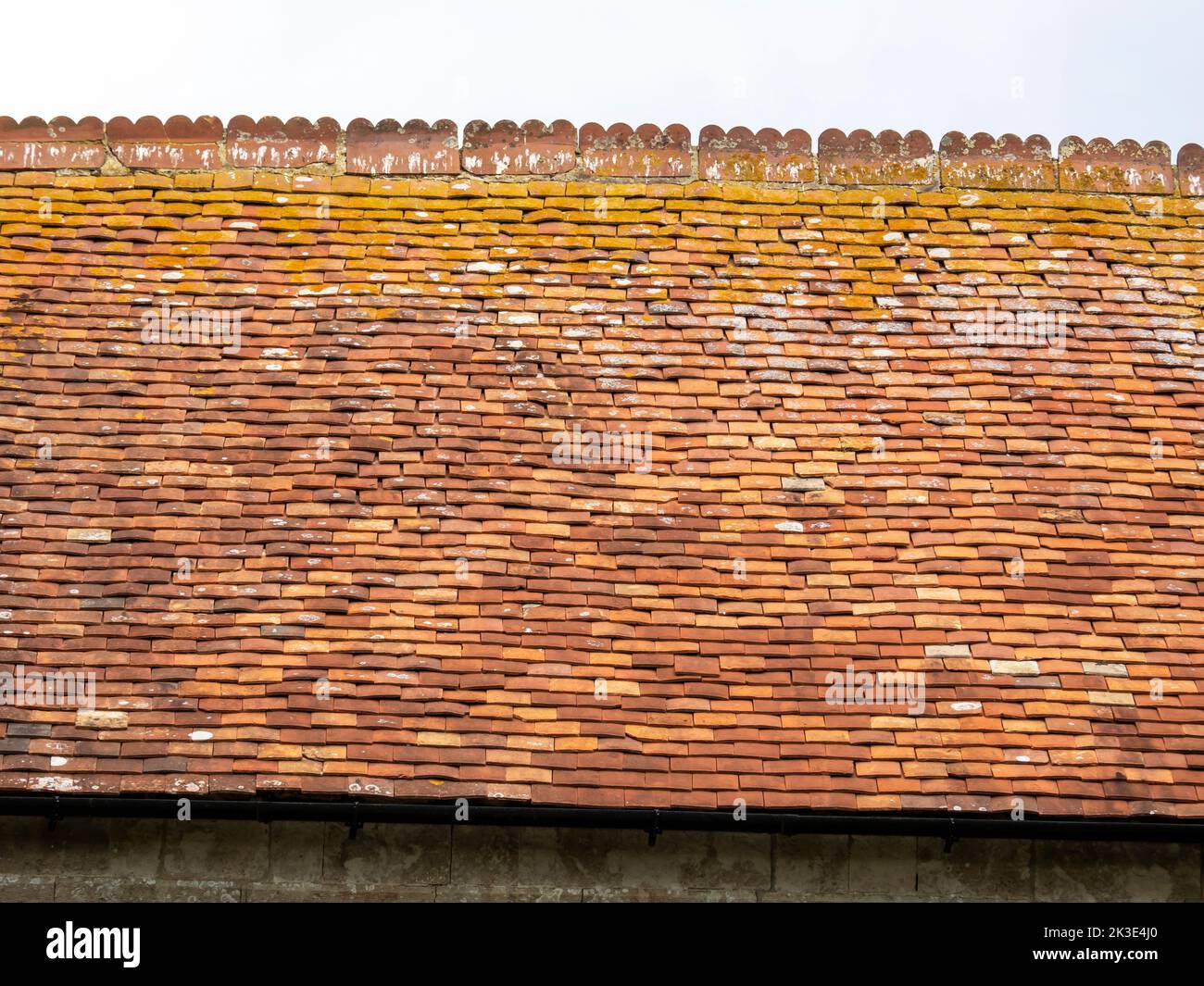 Lichen covered clay tiles on a house roof in Freshwater on the Isle of White, UK. Stock Photo