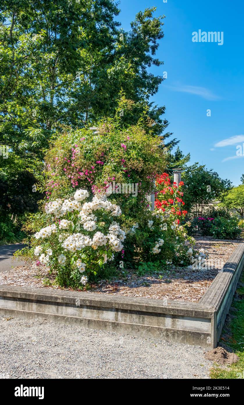 A view of a scenic garden in Seatac, Washington. Stock Photo