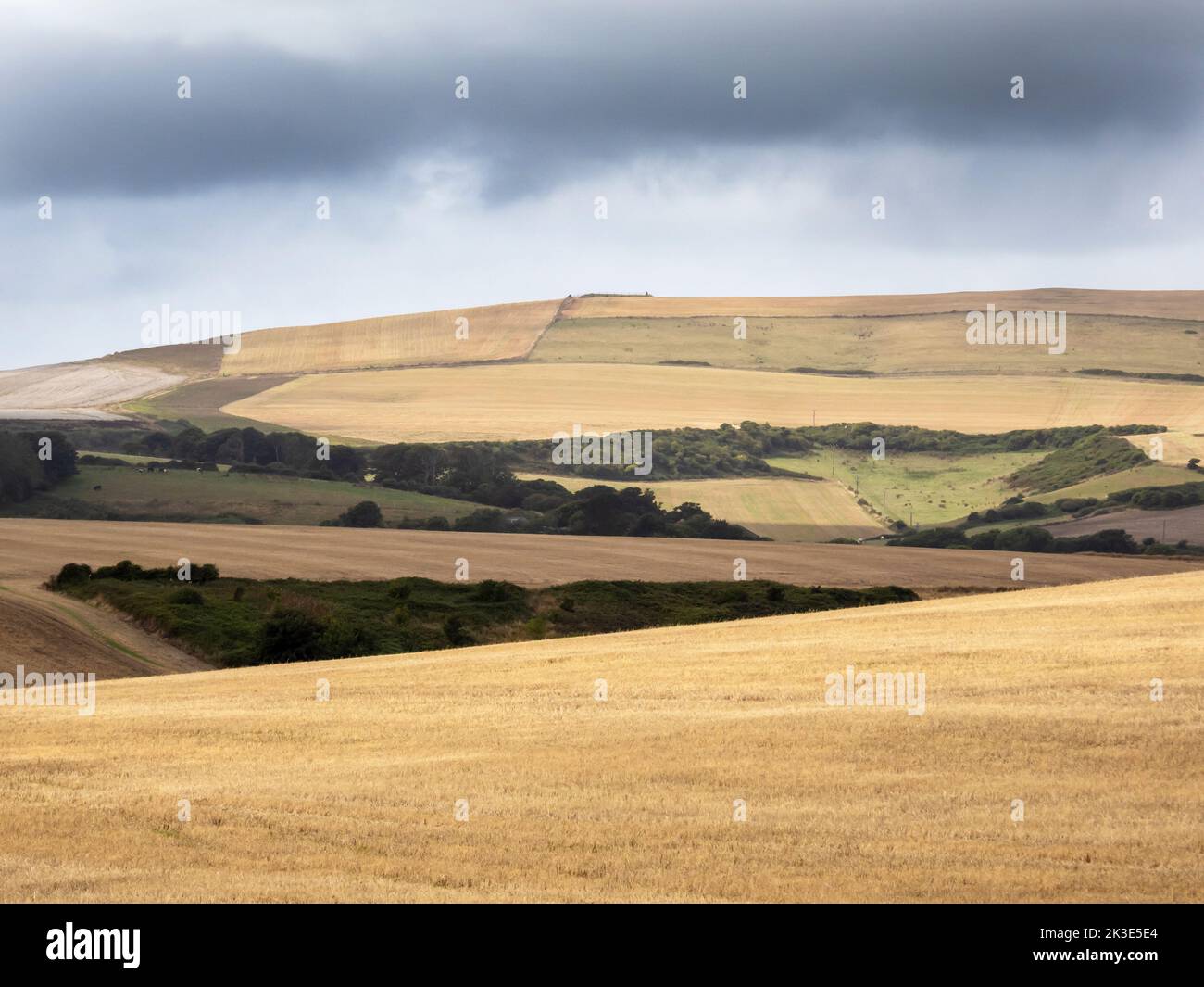 Parched famrland from the summer 2022 drought on St Catherine's Down on the Isle of White, UK. Stock Photo