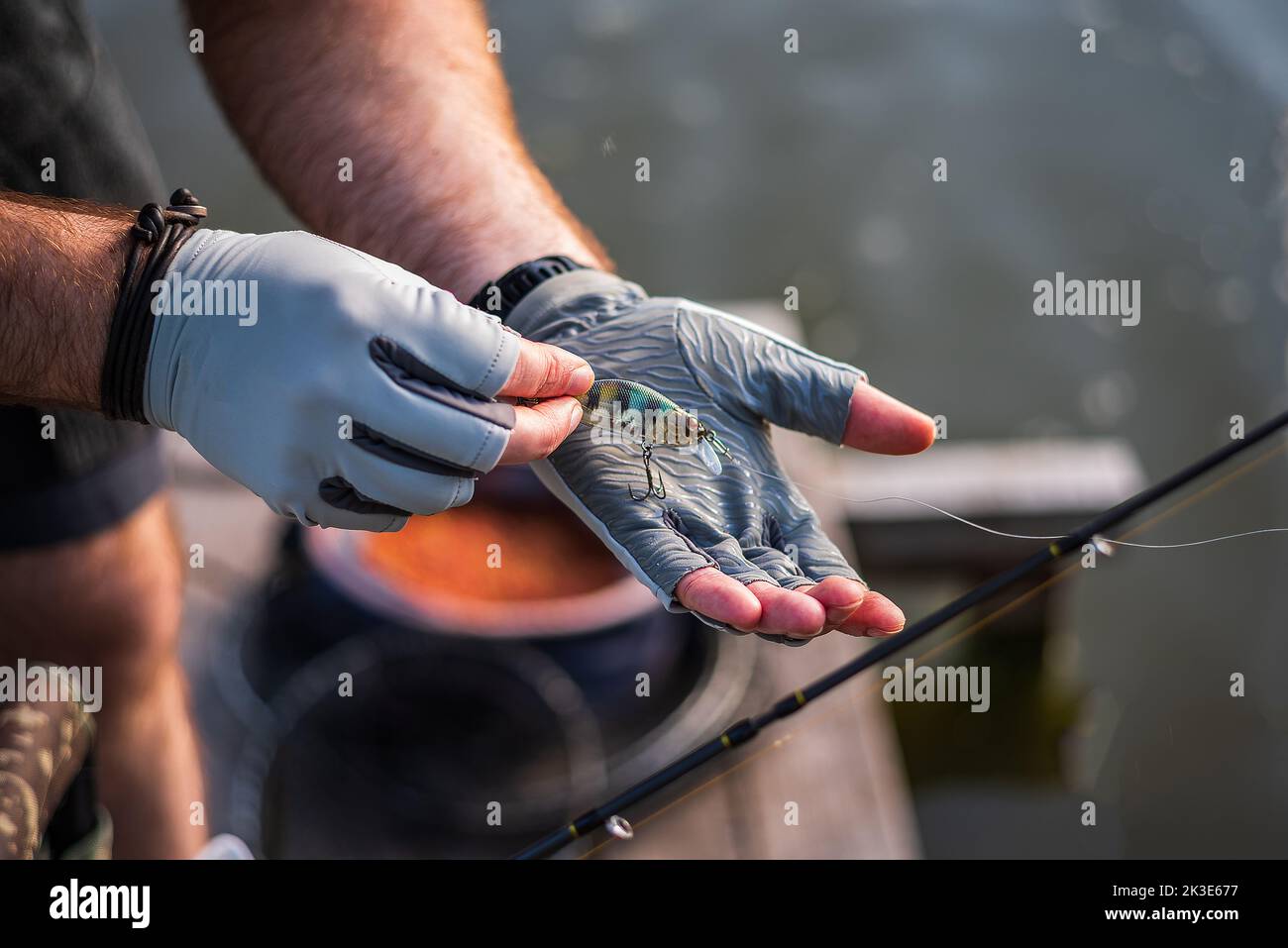 The fisherman in gloves holds the bait. The fisherman holds the bait in his hands. Spinning and hard lure. Stock Photo