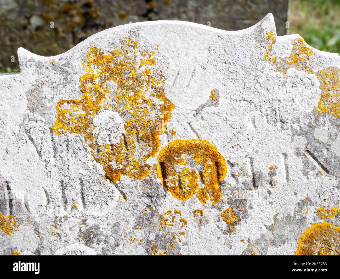 Lichen on a grave stone in Godshill cemetery on the Isle of White, UK. Stock Photo