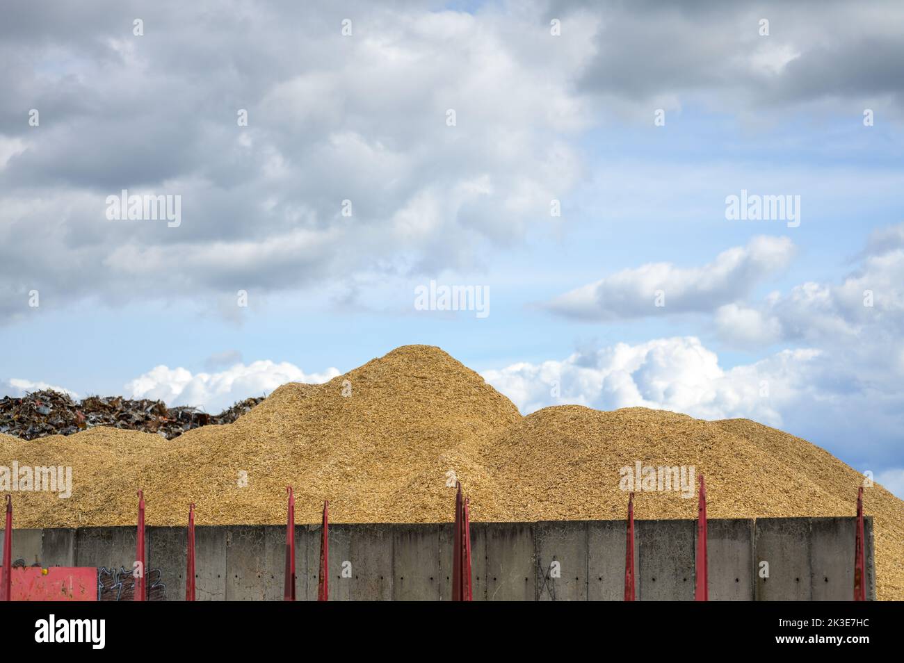 Huge mountain of sawdust in a concept of energy crisis and energy