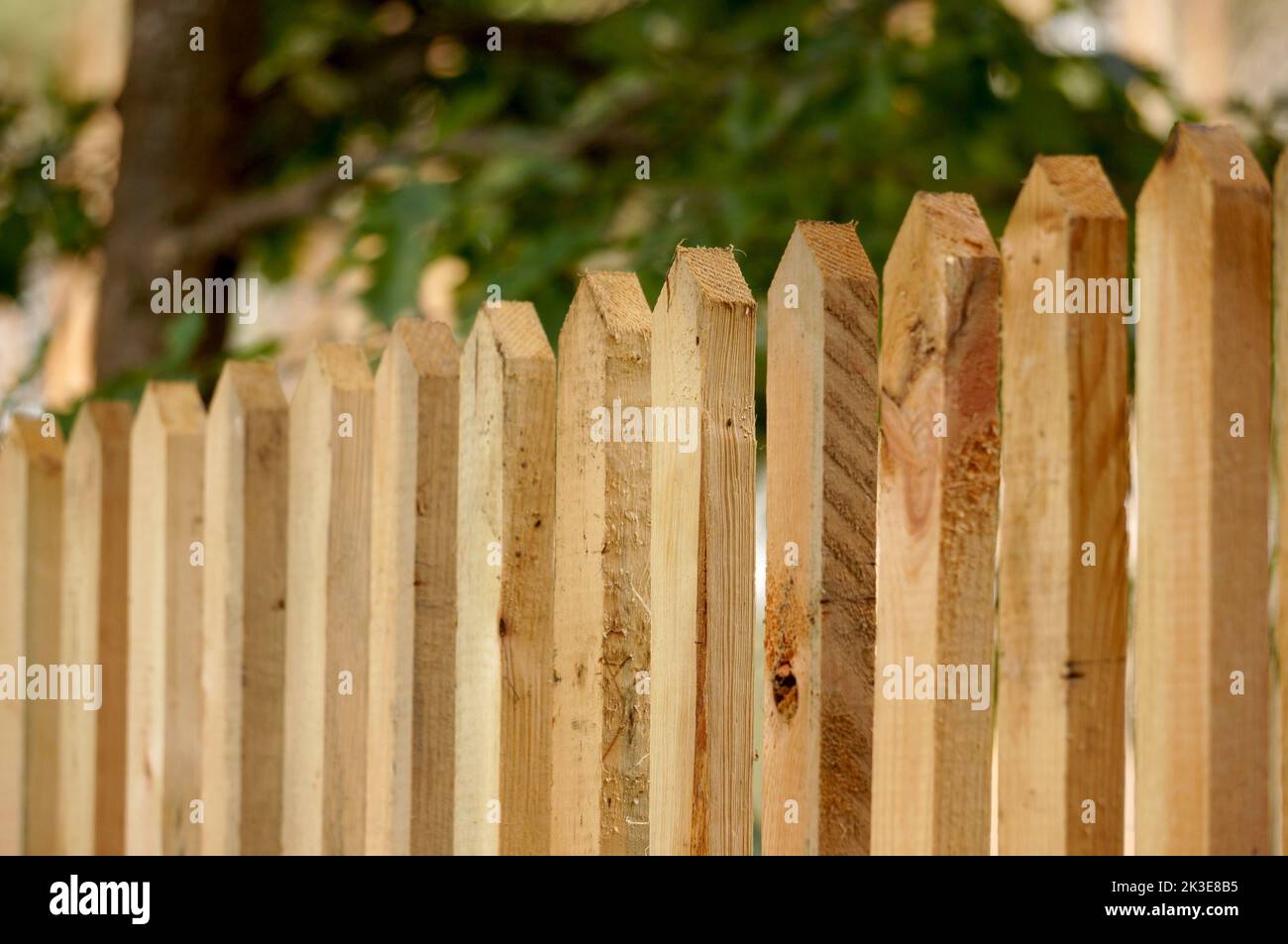 Rustic picket fence Stock Photo