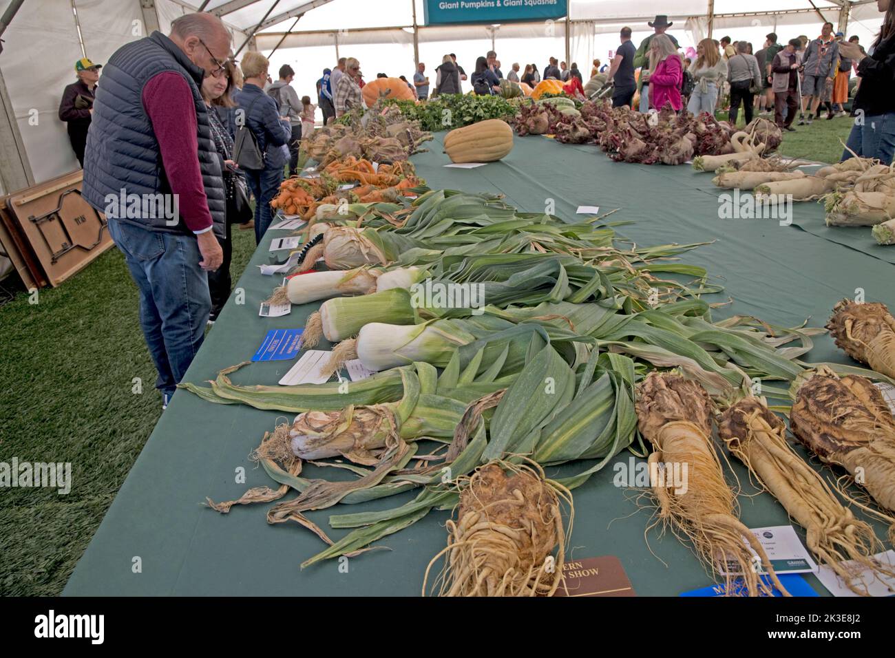 Visitors viewing giant leeks some of the enormous vegetables on show at Three Counties Autumn Show Malvern UK Stock Photo