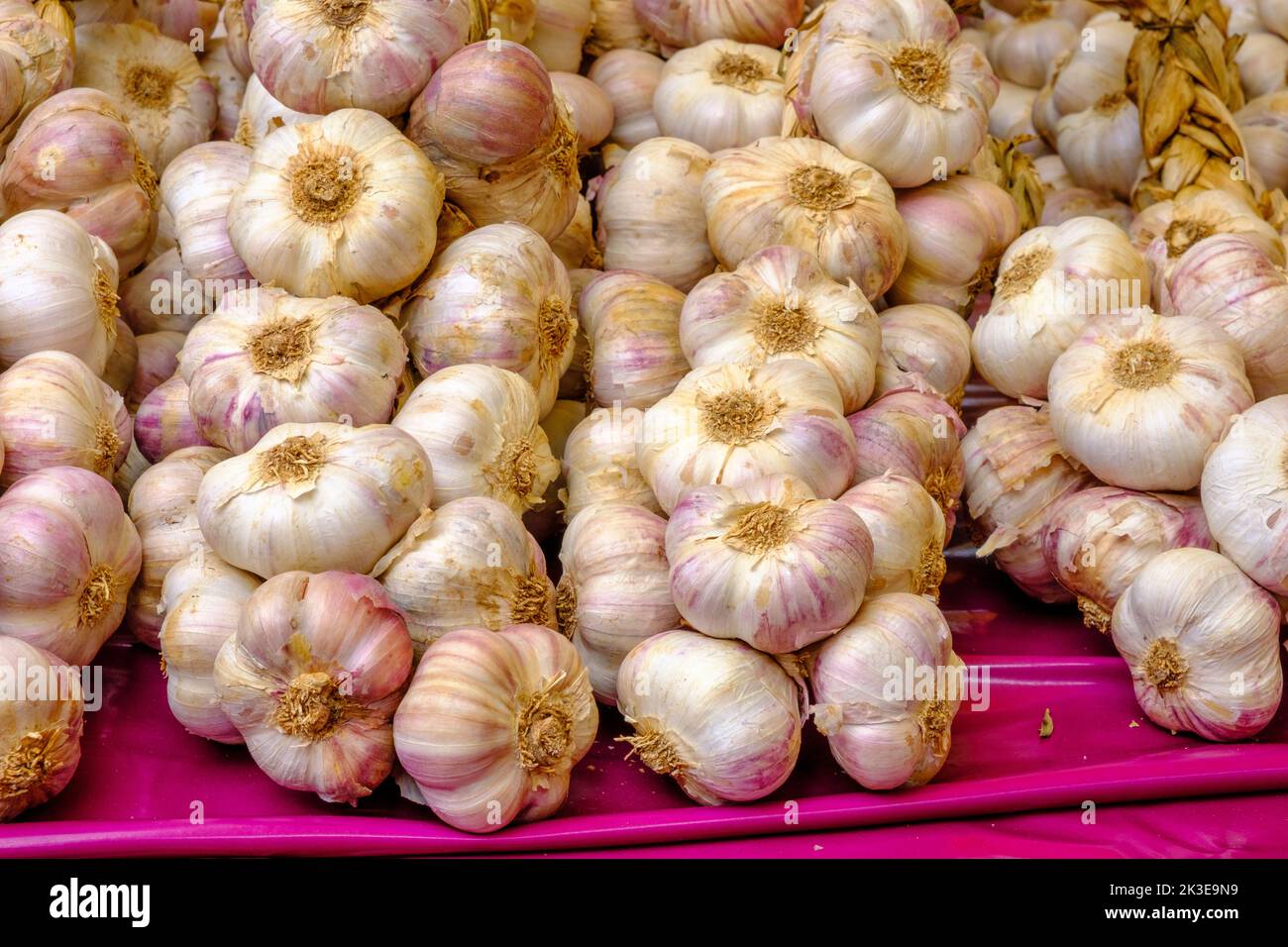 Garlic. French market Stock Photo Alamy