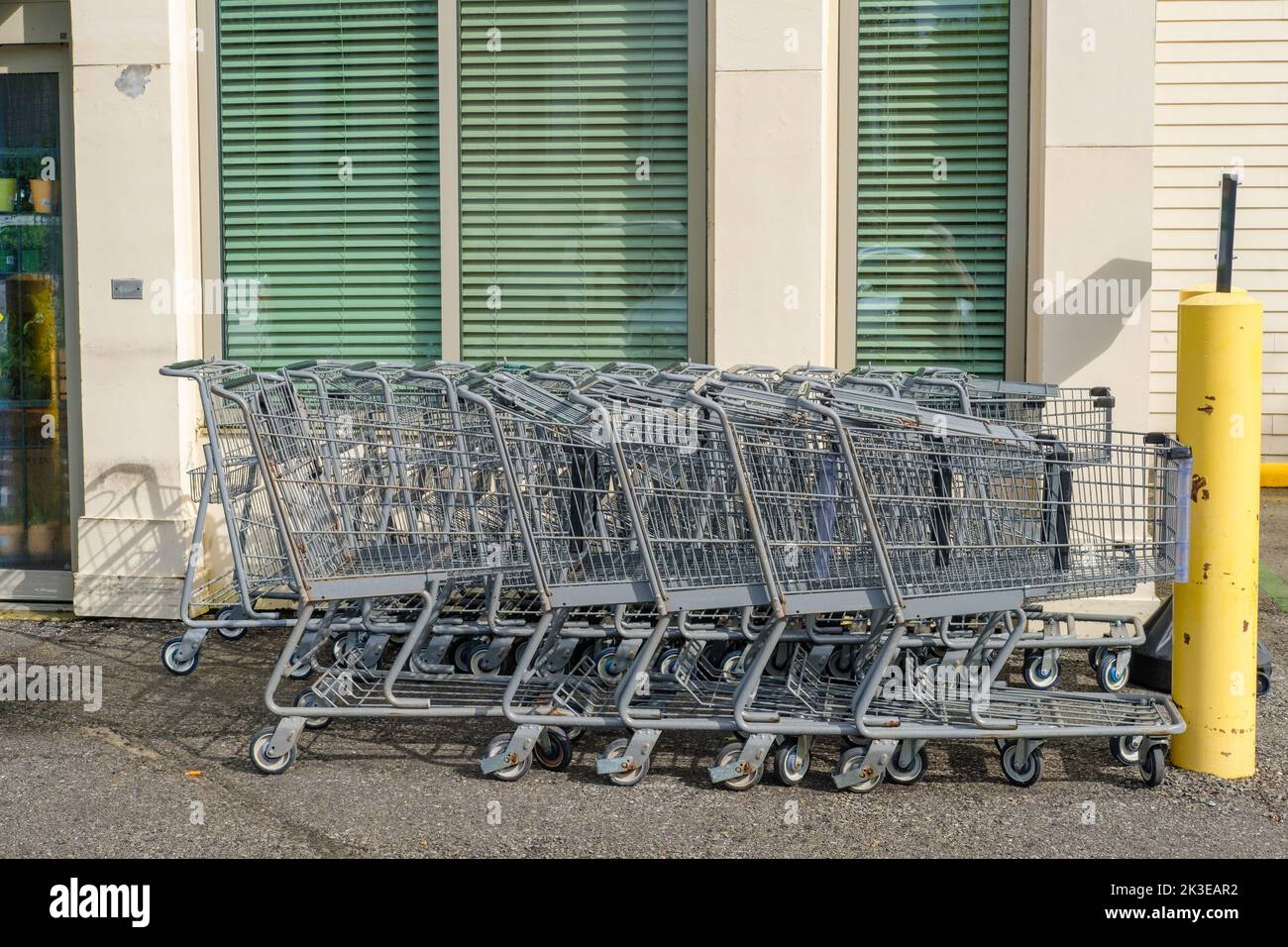 Two lines of shopping carts outside grocery store Stock Photo